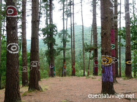 Bosque de Oma, Kortezubi (Bizkaia).